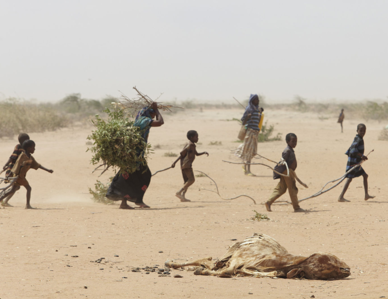 Climate Refugees of Somalia