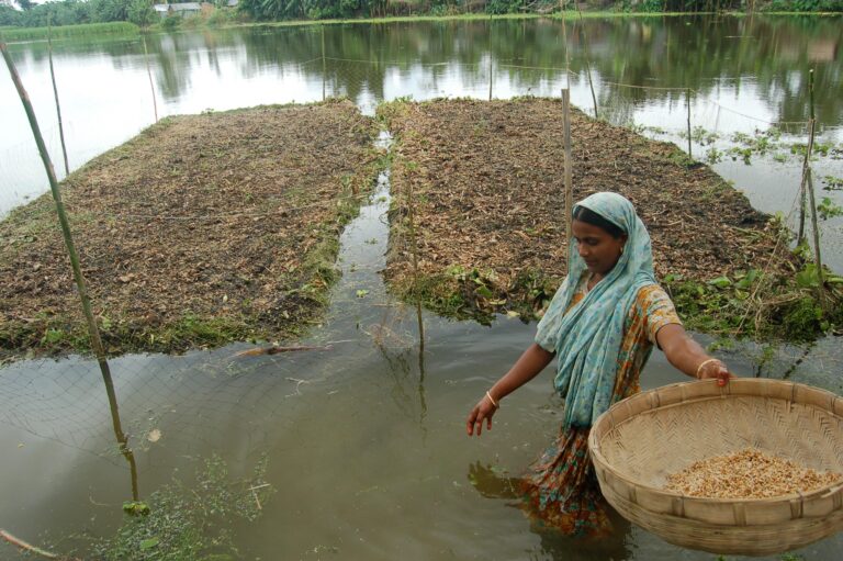 How Gender-Responsive Climate Finance Empowers Bangladesh’s Women
