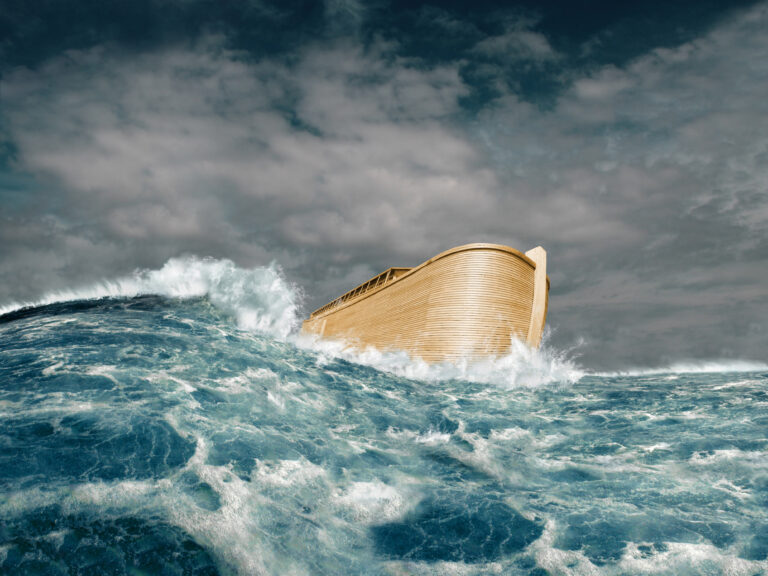 Noah’s Ark of Resilience: Islam’s Response to Climate Fatalism 